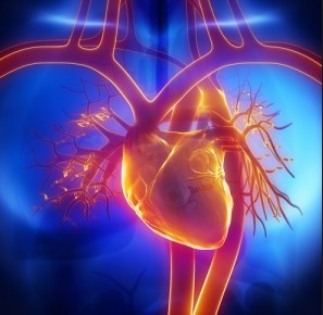 Cardiac Enzymes Testing