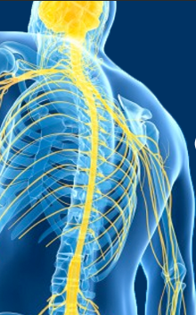 Cerebrospinal Fluid Testing