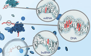 Rapid DNA Extraction Reagent from Paraffin Embedded Tissues. 