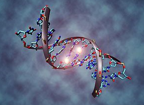 Tumor Methylation PAX-1 Gene 